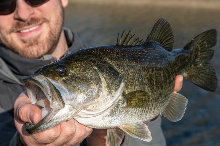 how-to-catch-bass-during-the-fall