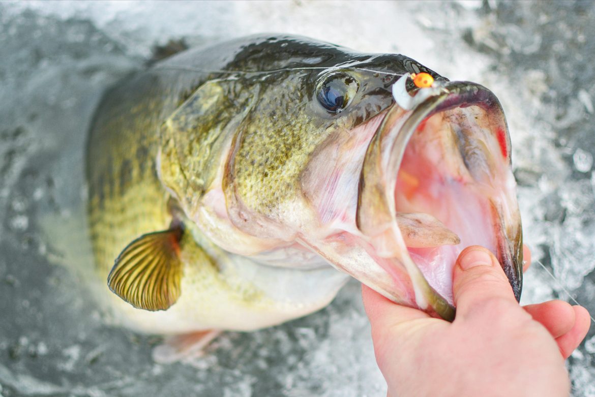 bass-fishing-winter