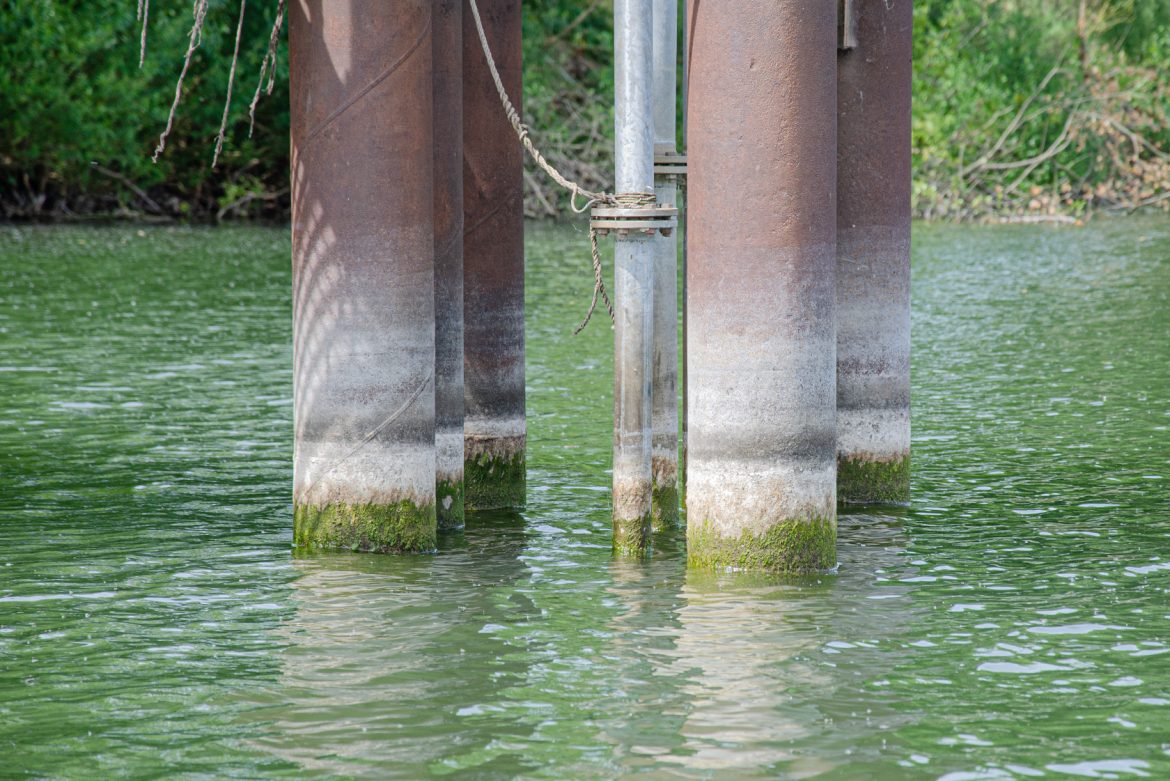 the-best-spots-for-summer-bass