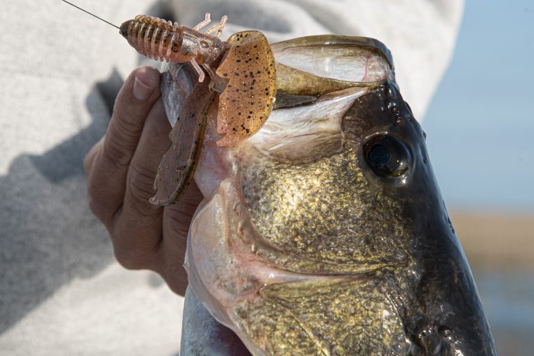 how-do-you-catch-largemouth-bass