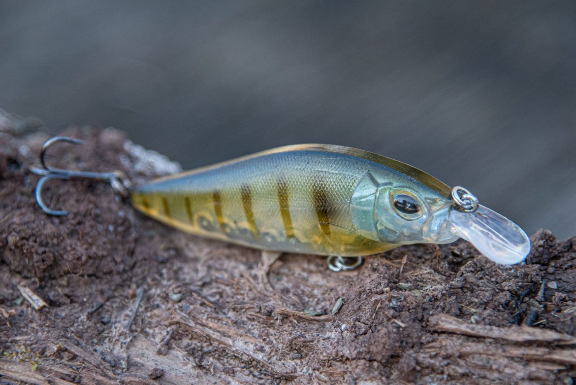 what-are-the-best-lure-colors-for-catching-bass