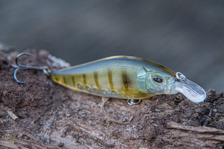 what-are-the-best-lure-colors-for-catching-bass