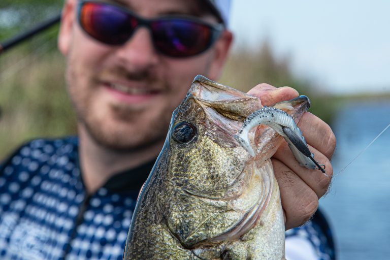 Why Are Bass Such Popular Sports Fish?