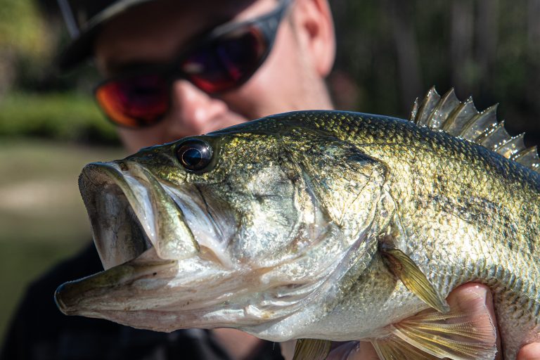 Why is bass fishing so much fun