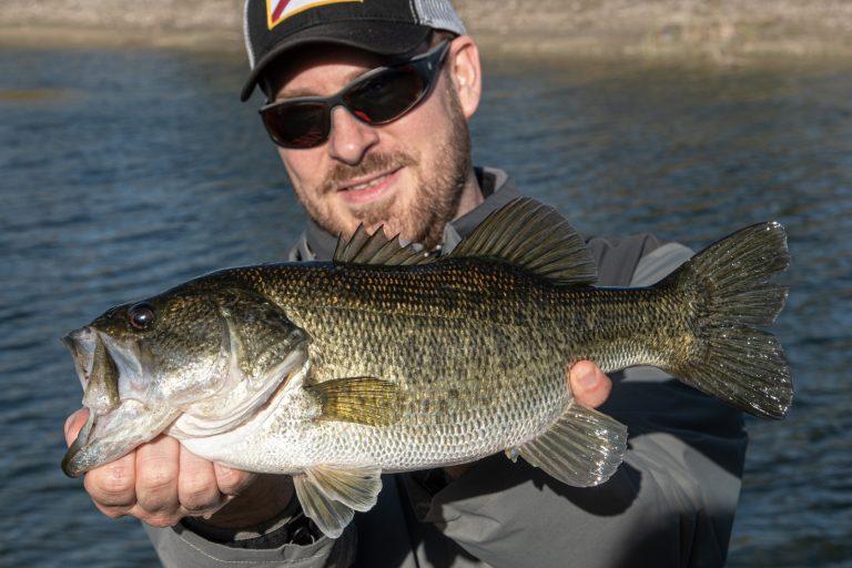 Can-Bass-Remember-Things