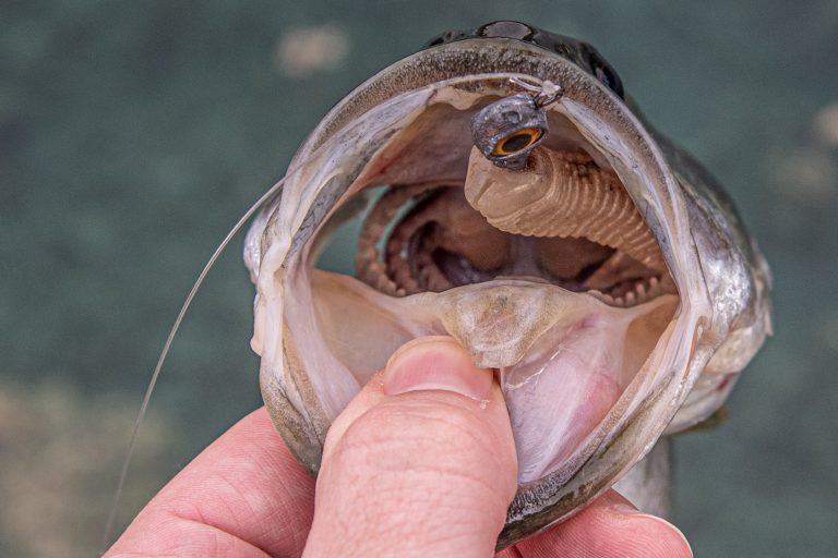 How-to-safely-unhook-largemouth-bass