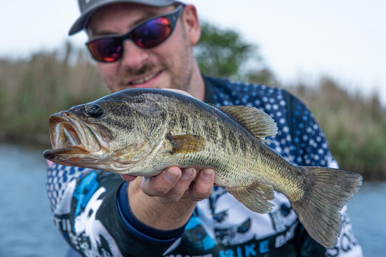 Is-a-bass-a-game-fish