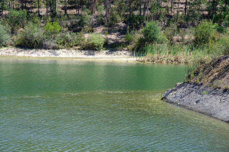 The-best-lakes-for-bass-fishing