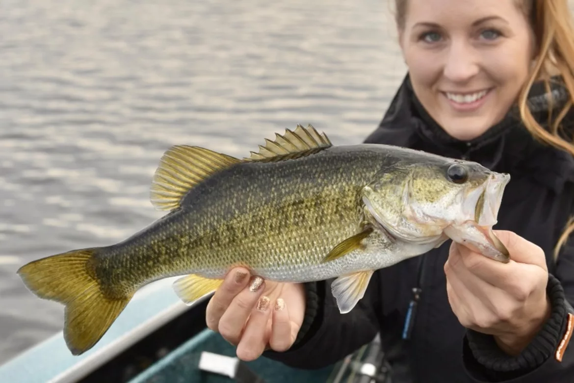 What-is-a-largemouth-bass
