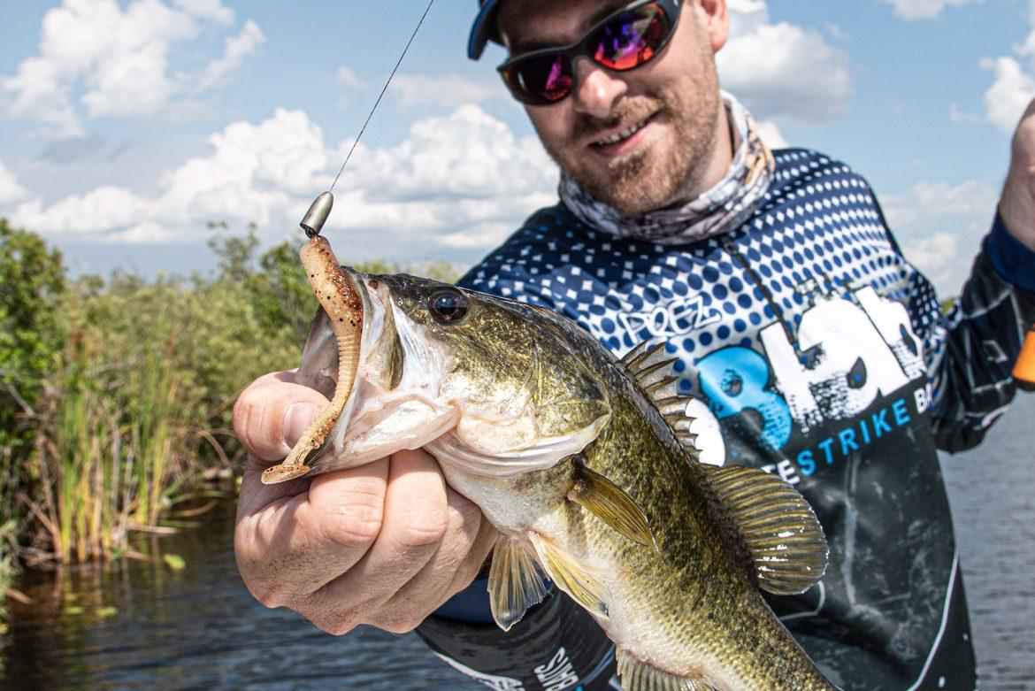 how-old-is-a-one-pound-largemouth-bass