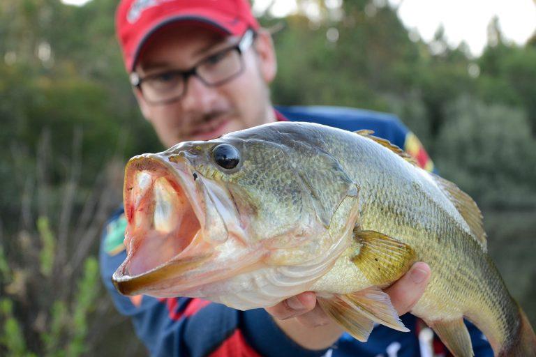 how-old-is-a-two-pound-largemouth-bass