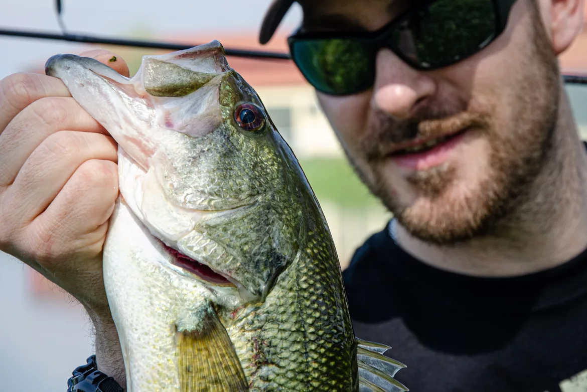 how-to-catch-spawning-largemouth-bass