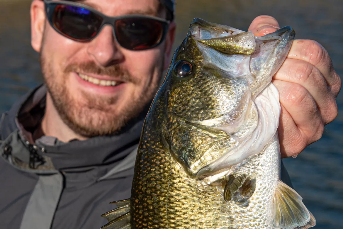 what-is-a-largemouth-bass